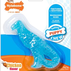Nylabone Puppy Dental Dinosaur Chew Toy